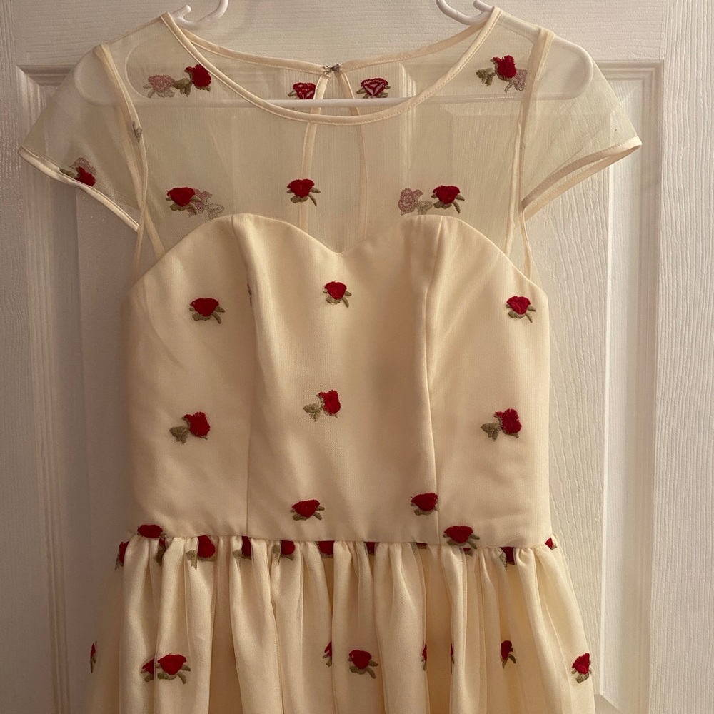 Magnolia Park Vintage Style Tulle Dress with embroidered roses
